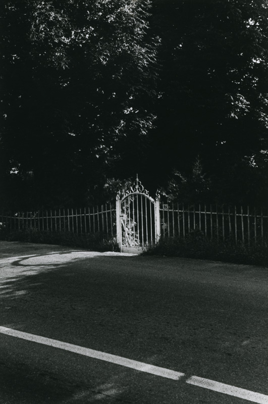 Black-and-white photograph of a small wrought-iron gate in a fence set against dense, dark vegetation, illuminated by a bright light; a road in the foreground with white lane markings and long shadows.