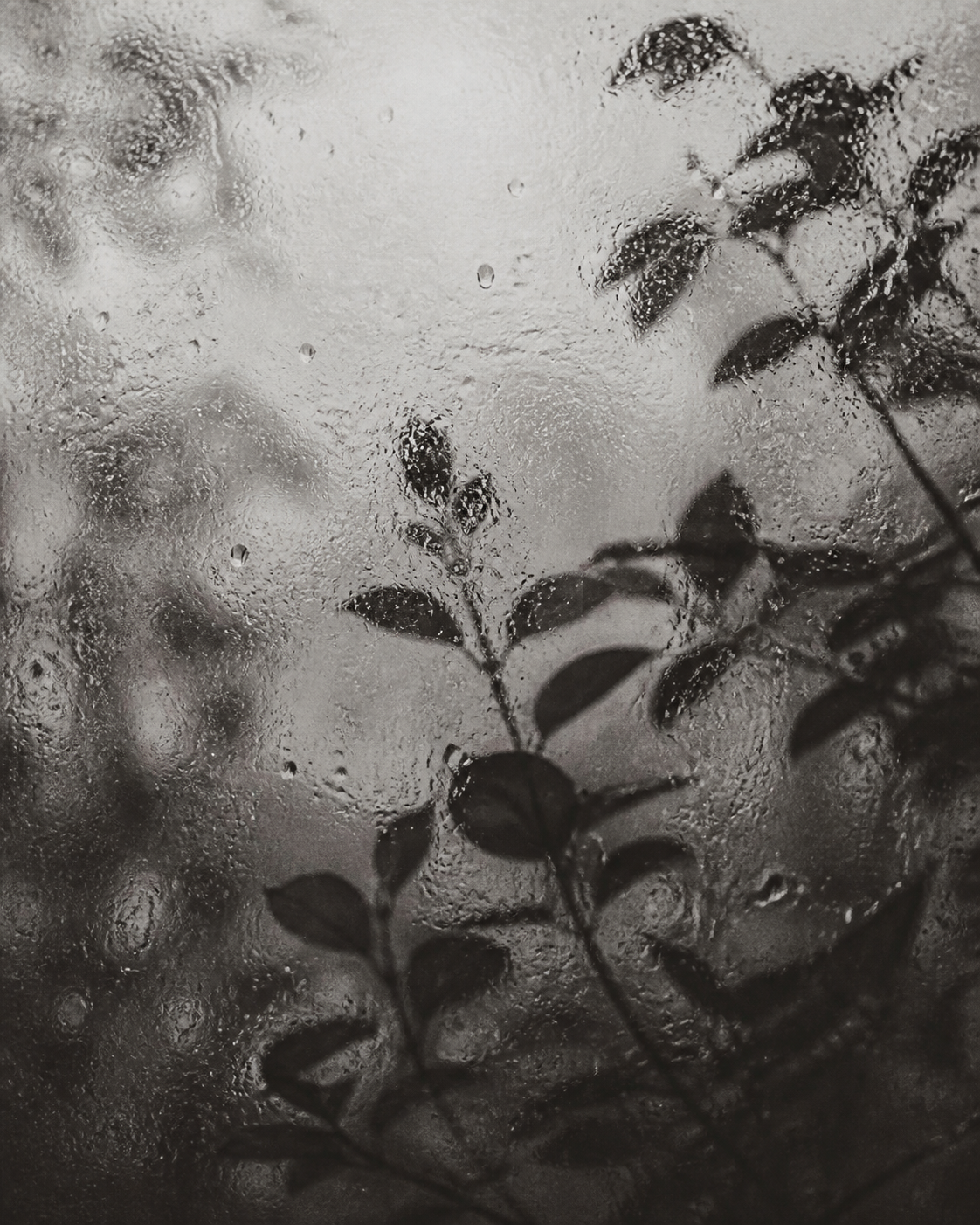 Rain Glass